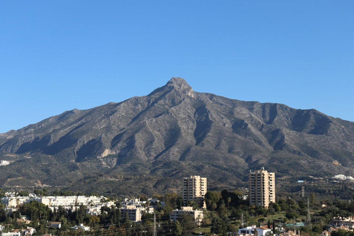 la concha
